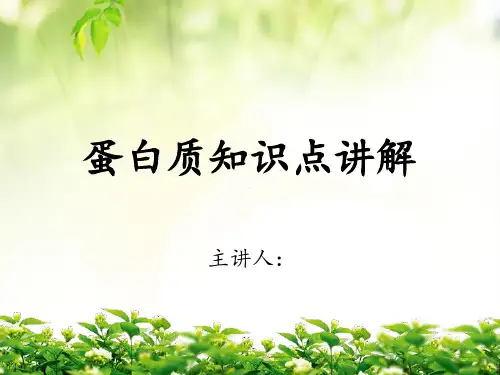 蛋白质知识点讲解PPT课件