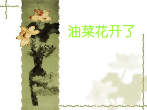 四级下册- 油菜花开了教科版ppt精品课件