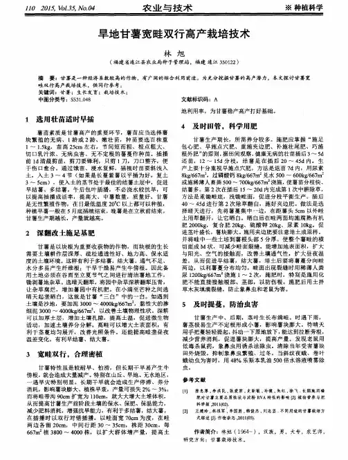 旱地甘薯宽畦双行高产栽培技术