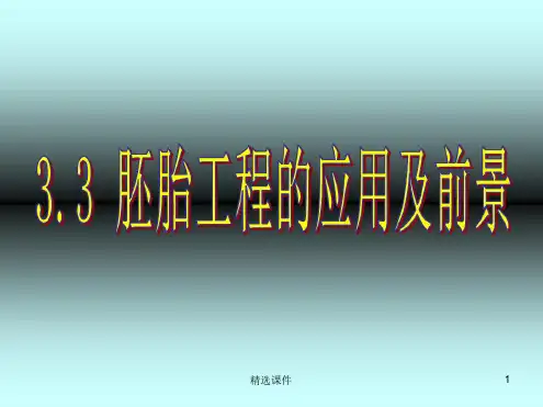 胚胎分割医学资料PPT