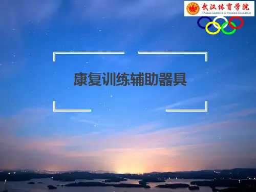 康复辅具PPT课件