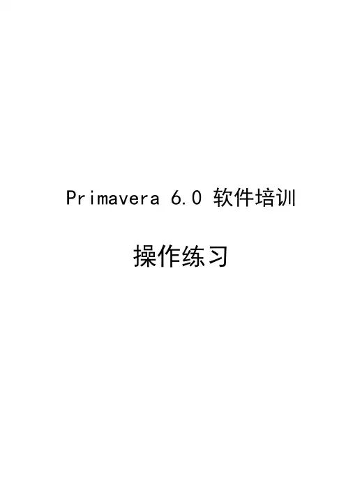 P6功能操作