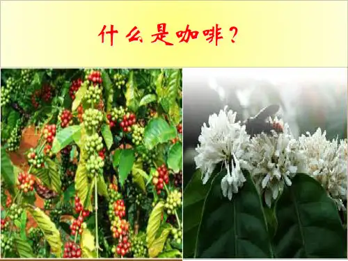 咖啡厅开店培训课件P50