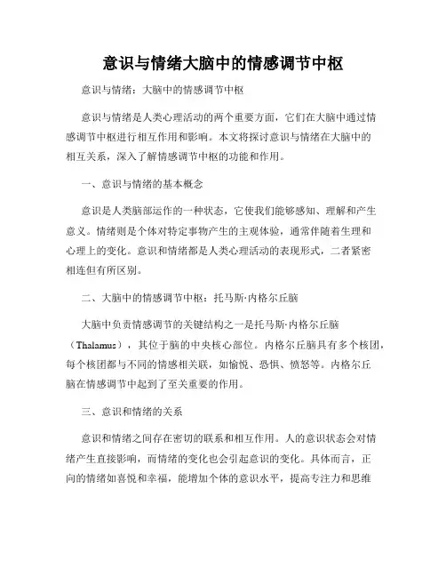 意识与情绪大脑中的情感调节中枢
