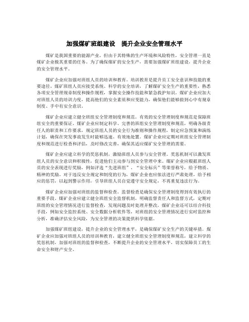 加强煤矿班组建设  提升企业安全管理水平