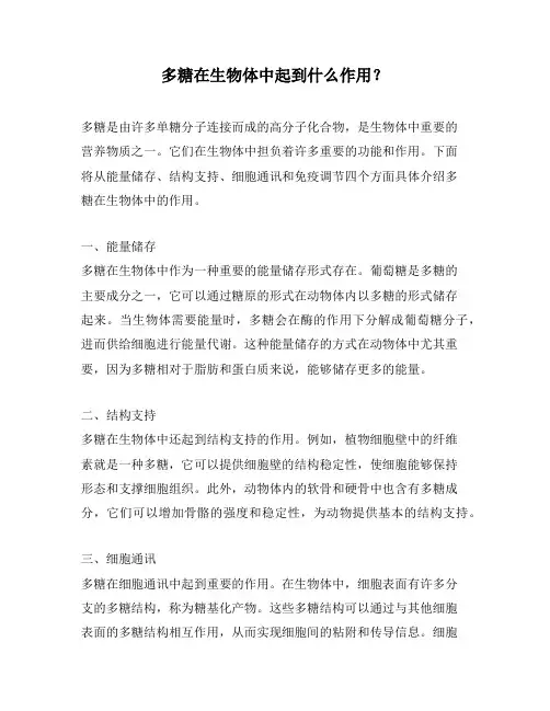 多糖在生物体中起到什么作用？