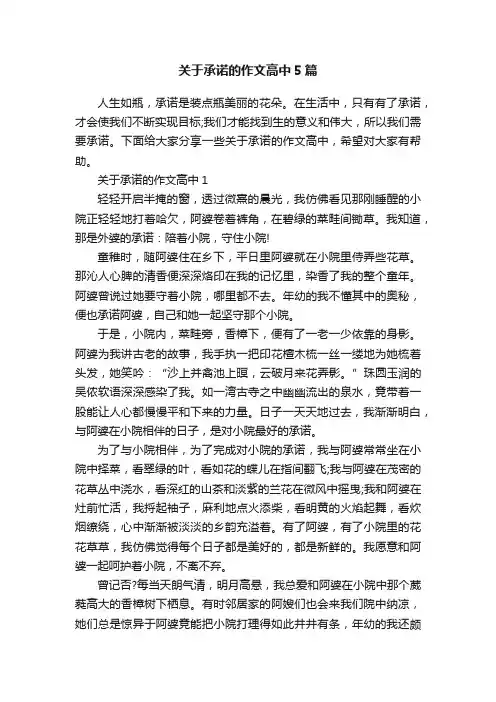关于承诺的作文高中5篇
