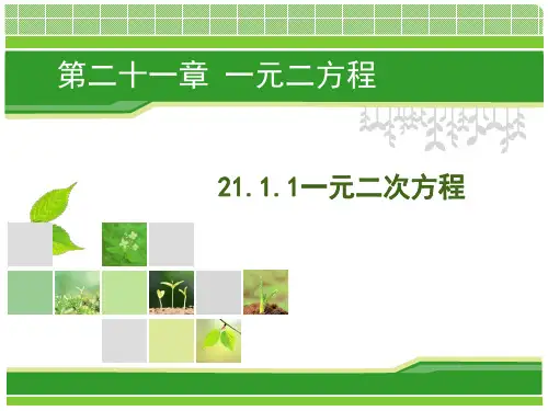 人教版初中数学课标版九年级上册21.1一元二次方程(共17张PPT)