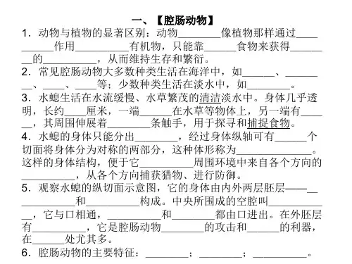 动物的主要类群知识点