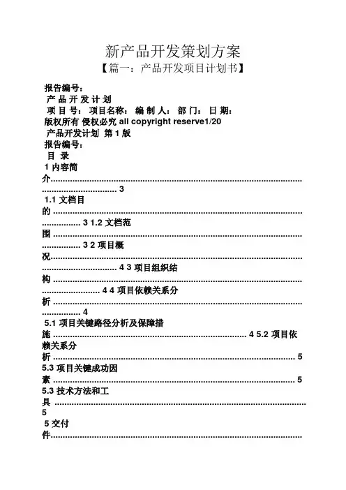 新产品开发策划方案