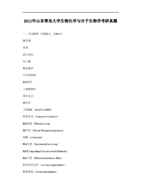 2011年山东青岛大学生物化学与分子生物学考研真题