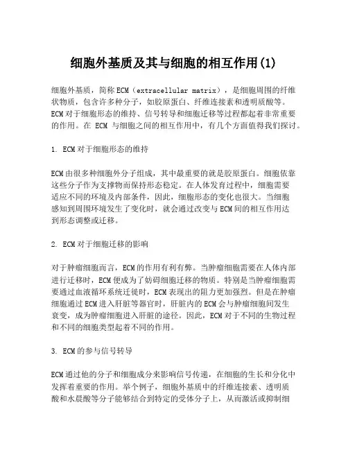 细胞外基质及其与细胞的相互作用(1)