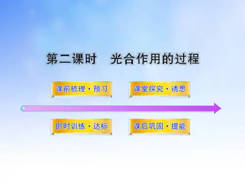 光合作用的过程ppt课件演示文稿