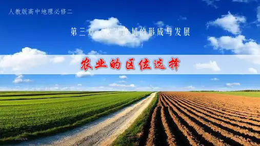 人教版地理必修二：3.1  农业的区位选择(共23张ppt)