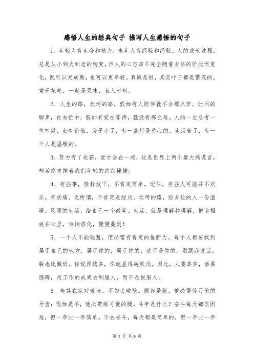 感悟人生的经典句子描写人生感悟的句子