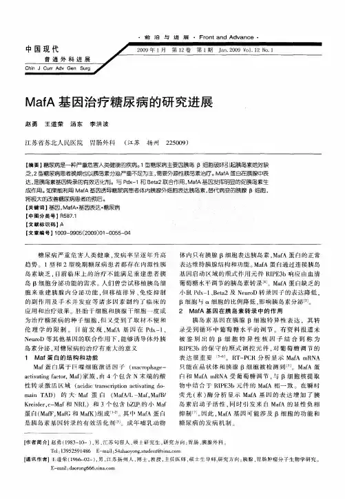 MafA基因治疗糖尿病的研究进展