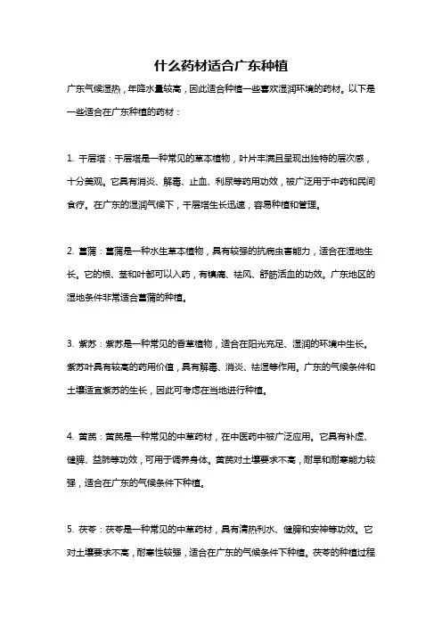 什么药材适合广东种植