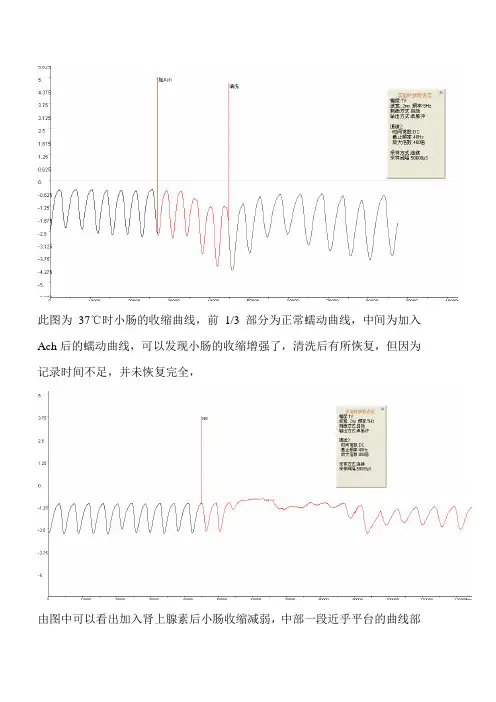 离体小肠平滑肌生理特性观察