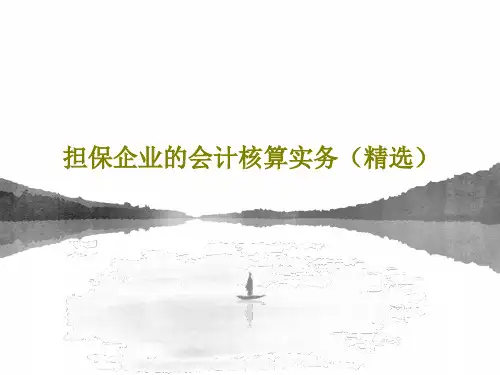 担保企业的会计核算实务(精选)共53页文档