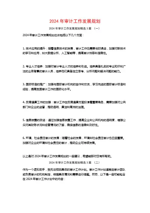 2024年审计工作发展规划3篇