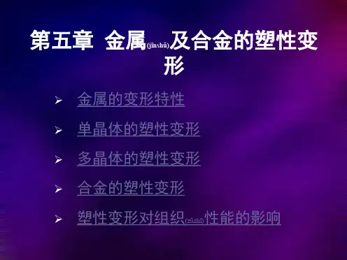 第05章_塑性变形