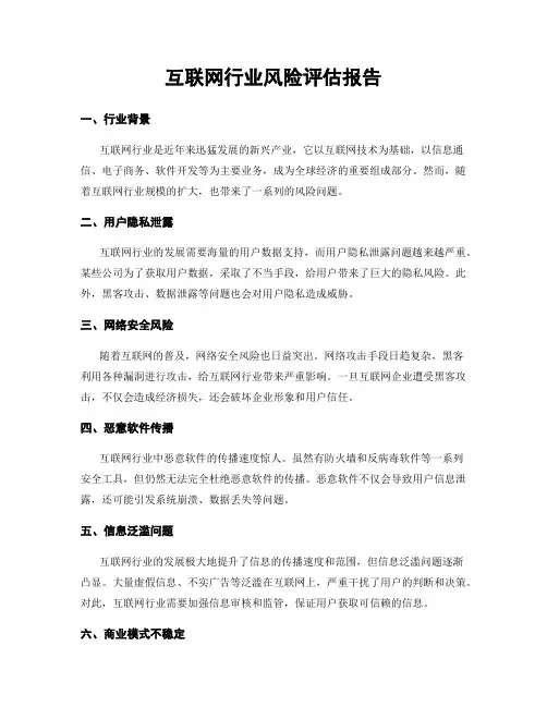 互联网行业风险评估报告