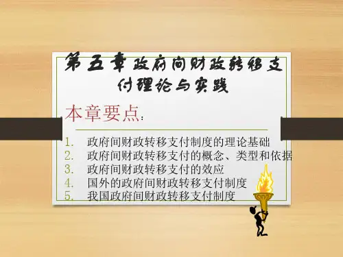 5 政府转移支付