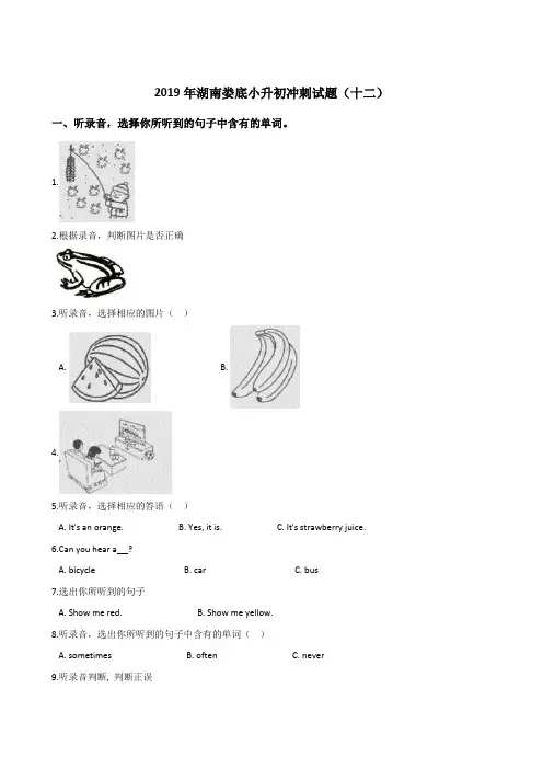 六年级下册英语试题--2019年湖南娄底小升初冲刺试题(十二) 人教(PEP)2014秋 含答案