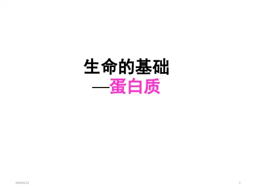 人教版化学选修一1.3生命的基础-蛋白质  课件 (共40张PPT)