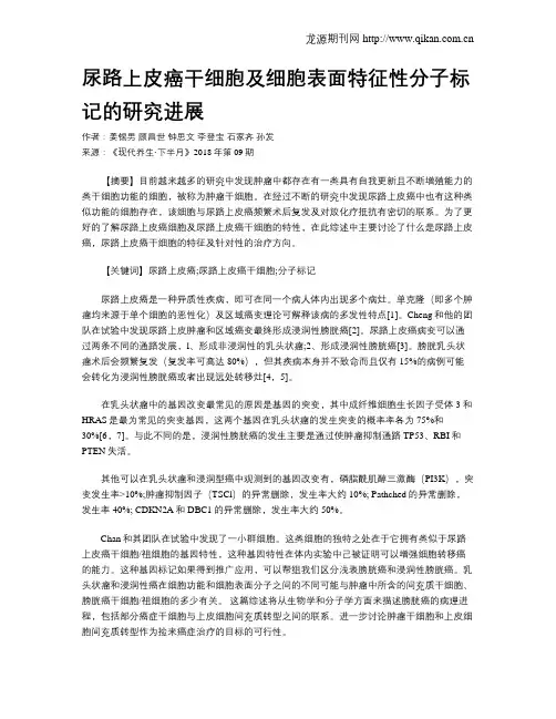 尿路上皮癌干细胞及细胞表面特征性分子标记的研究进展