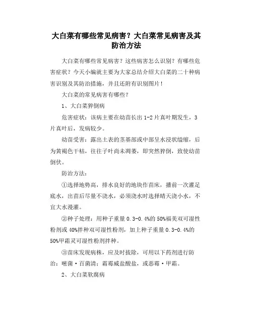 大白菜有哪些常见病害？大白菜常见病害及其防治方法