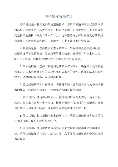 李子嫁接方法范文