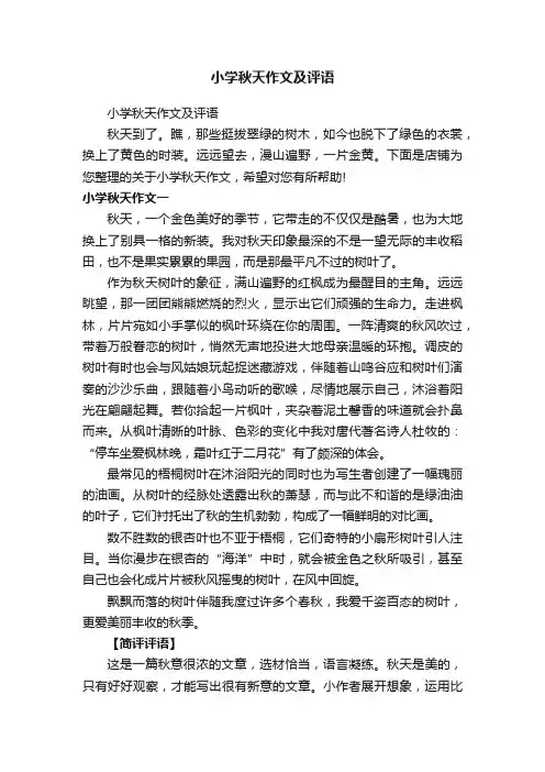 小学秋天作文及评语