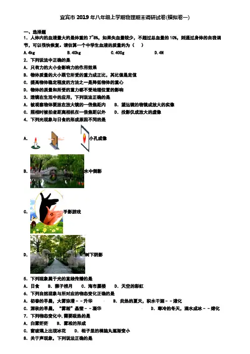 宜宾市2019年八年级上学期物理期末调研试卷(模拟卷一)