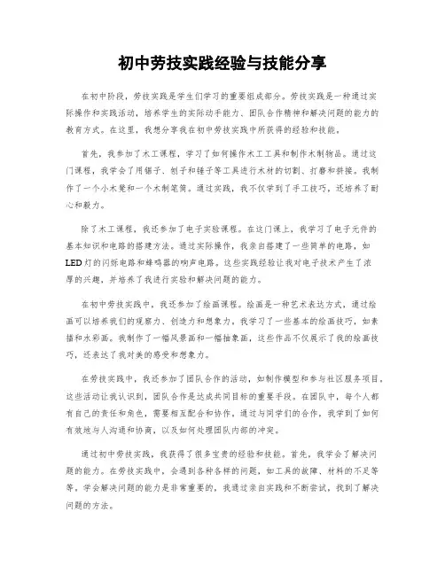 初中劳技实践经验与技能分享