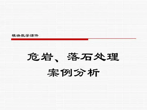 落石危石案例分析精品PPT课件