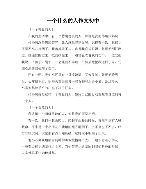一个什么的人作文初中
