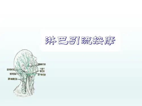 芳香美容 淋巴引流按摩 淋巴引流按摩