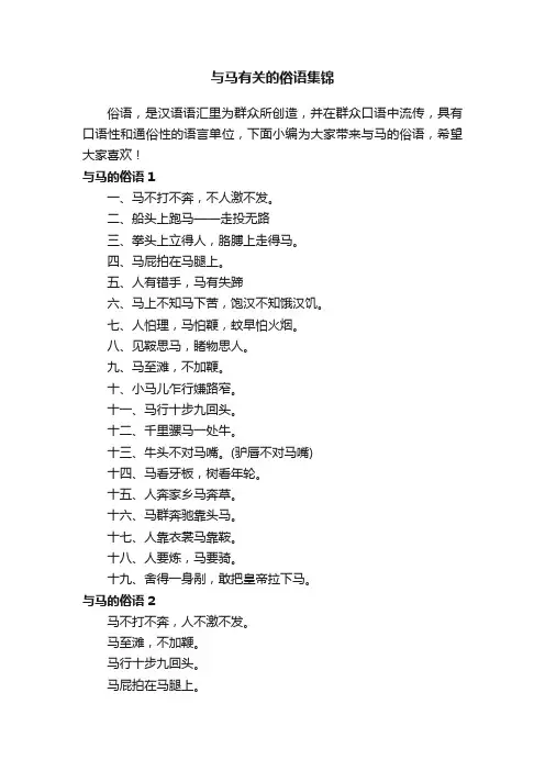 与马有关的俗语集锦