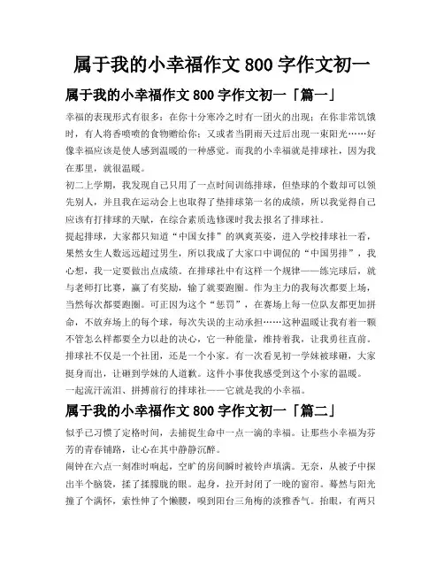 属于我的小幸福作文800字作文初一