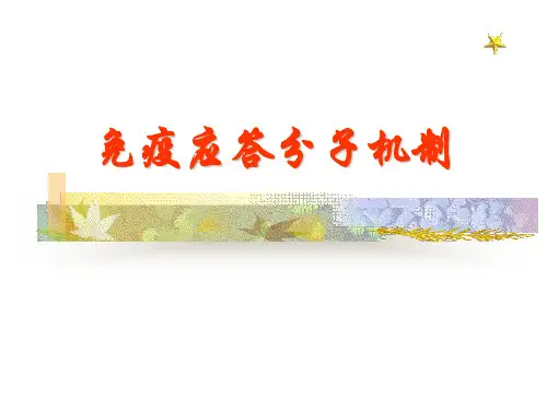 医学免疫学：免疫应答分子机制