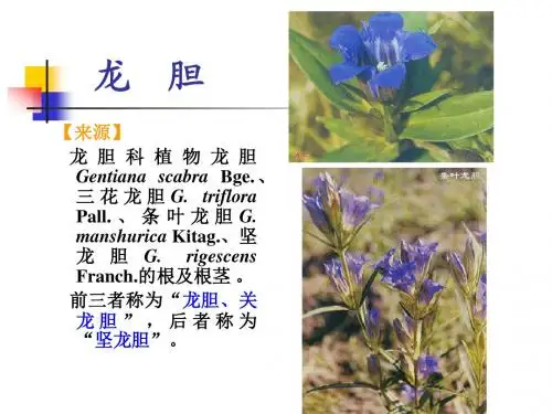 根及根茎类中药(7)课件