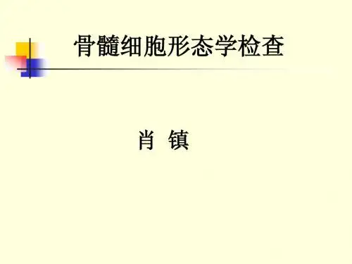 骨髓细胞形态学