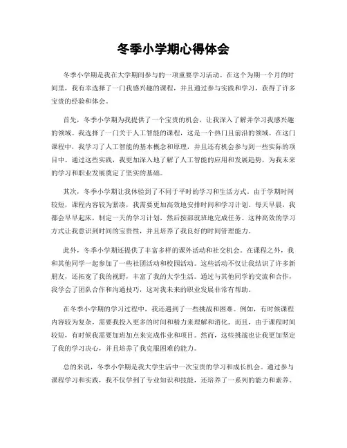 冬季小学期心得体会