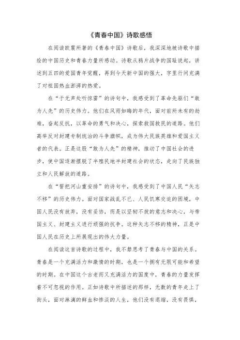 《青春中国》诗歌感悟