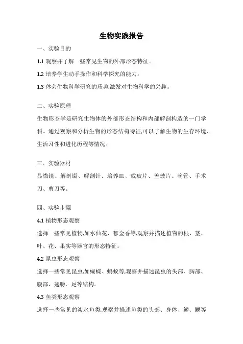 生物实践报告