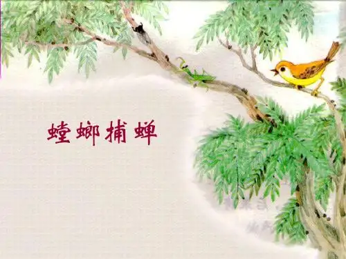 六年级语文螳螂捕蝉(2019)