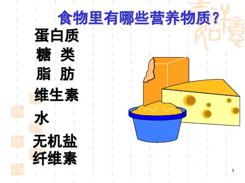 人体的消化和吸收PPT课件