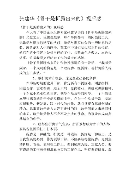 张建华《骨干是折腾出来的》观后感