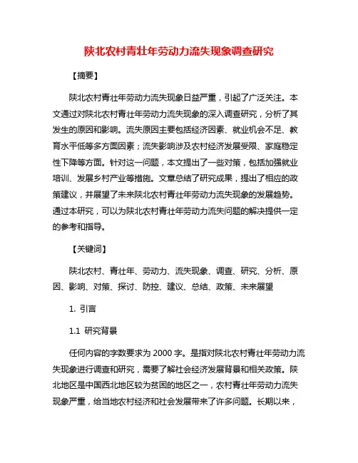 陕北农村青壮年劳动力流失现象调查研究